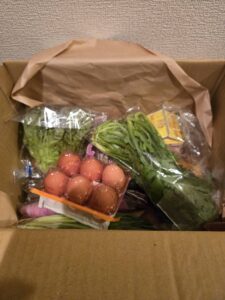 さん・らいふで届いた野菜の様子